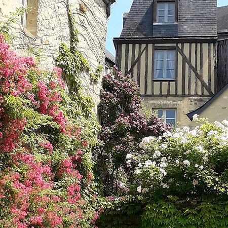 Petite Maison Romantique Au Calme, Coeur Historique Plantagenet, Vue Ville 勒芒 外观 照片