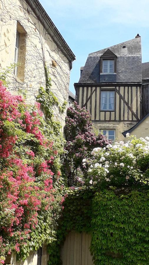 Petite Maison Romantique Au Calme, Coeur Historique Plantagenet, Vue Ville 勒芒 外观 照片